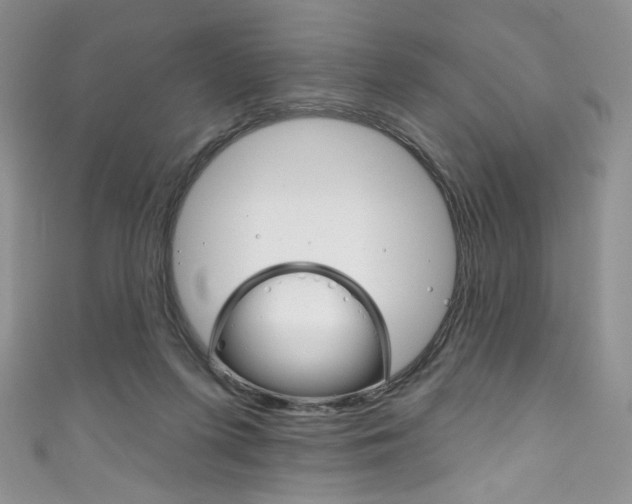 X0000111160215200906301105