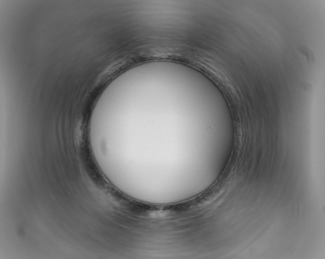 X0000111160216200906301105