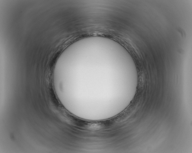 X0000111160218200906301105