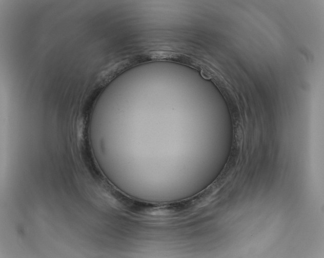 X0000111160219200906301105