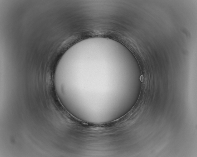 X0000111160220200906301105
