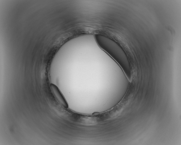 X0000111160221200906301105
