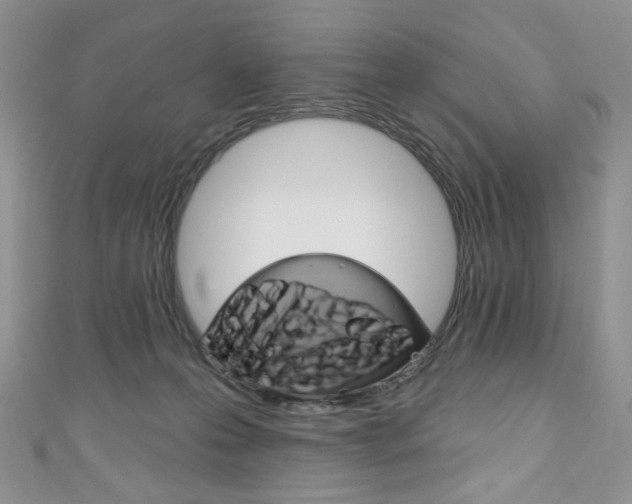 X0000111160223200906301105