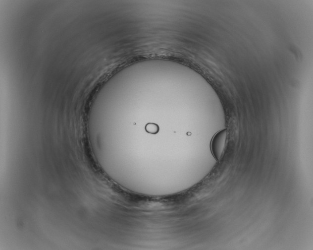 X0000111160224200906301105