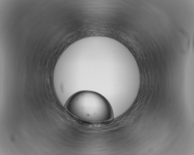 X0000111160225200906301105