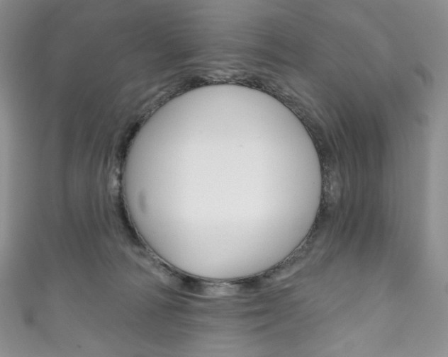 X0000111160226200906301104