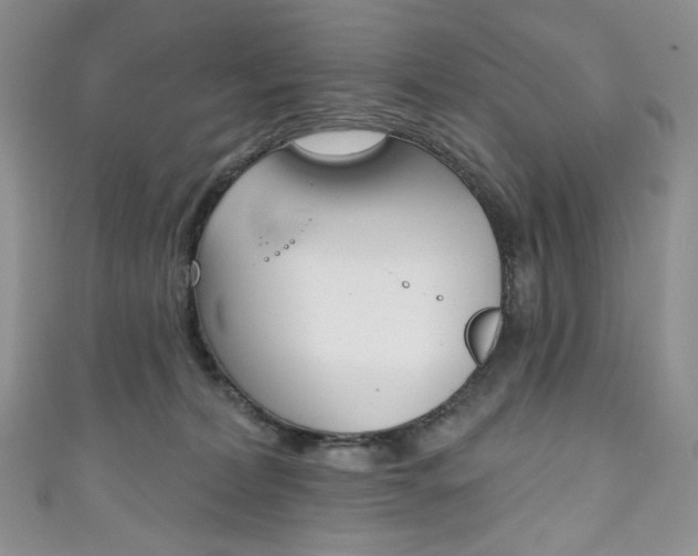 X0000111160228200906301104