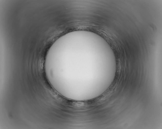 X0000111160230200906301104
