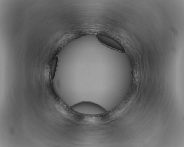 X0000111160231200906301104