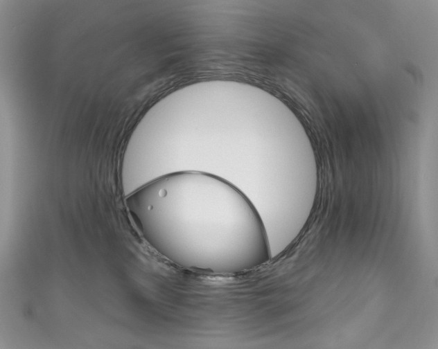 X0000111160233200906301104