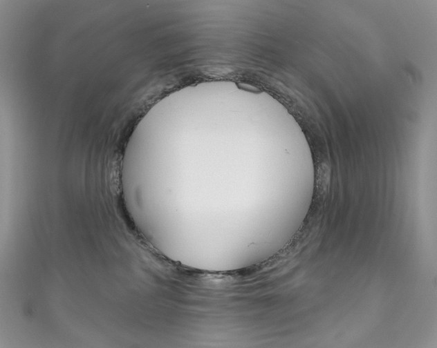 X0000111160234200906301104