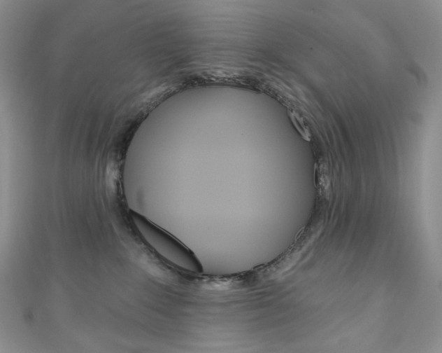 X0000111160235200906301104