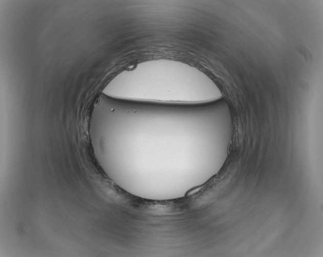 X0000111160236200906301104