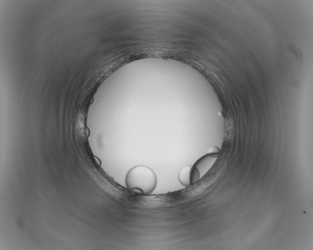 X0000111160238200906301104
