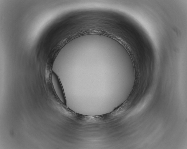 X0000111160239200906301104