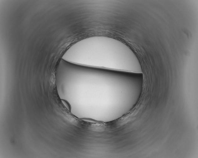 X0000111160240200906301104