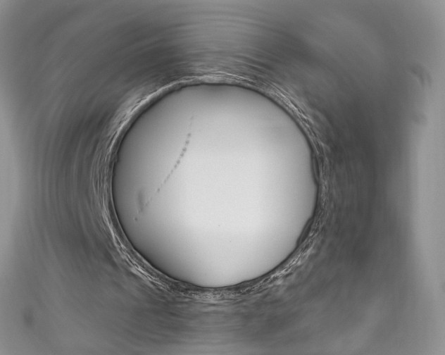 X0000111160241200906301104