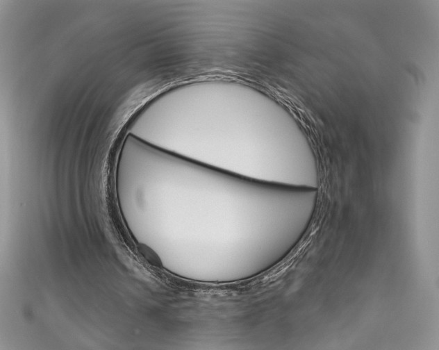 X0000111160242200906301104