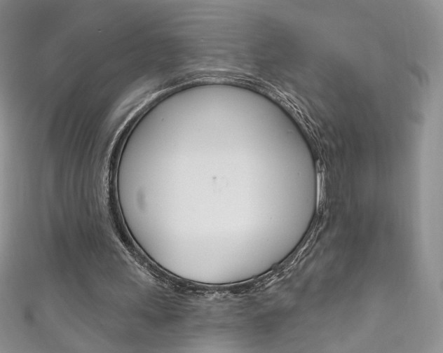 X0000111160243200906301104