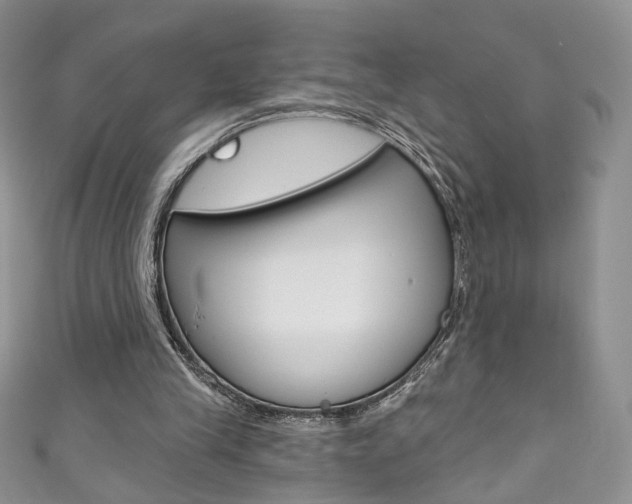 X0000111160245200906301104