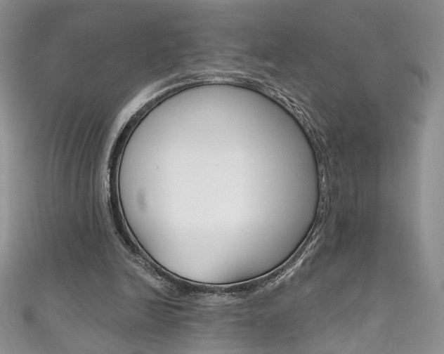 X0000111160246200906301104