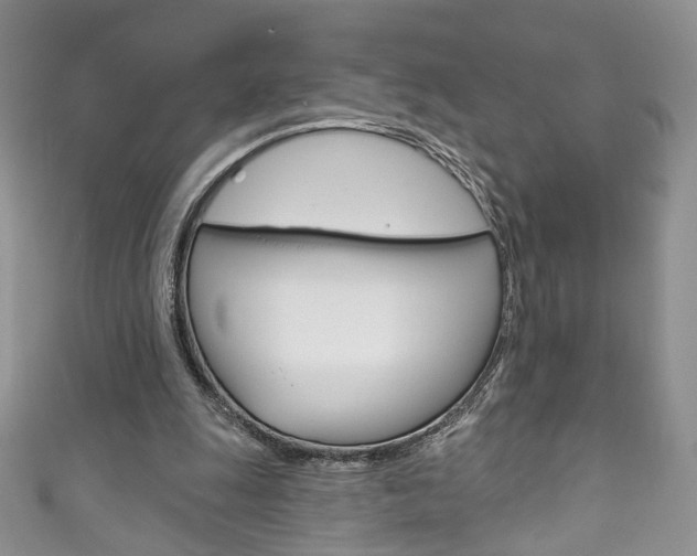 X0000111160247200906301104