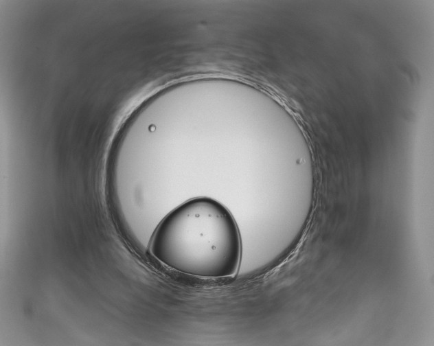 X0000111160248200906301104