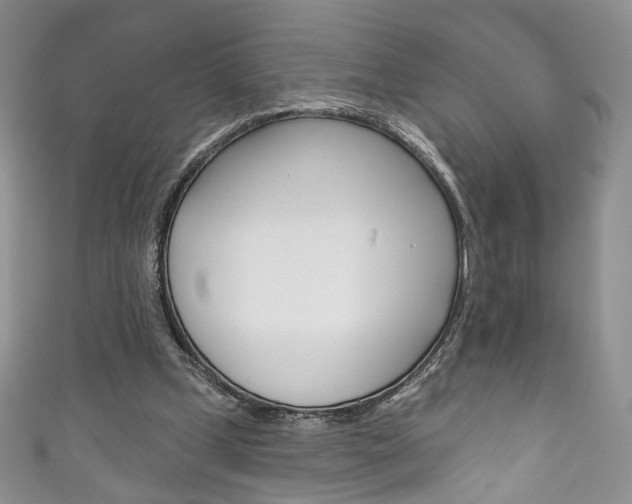 X0000111160249200906301104