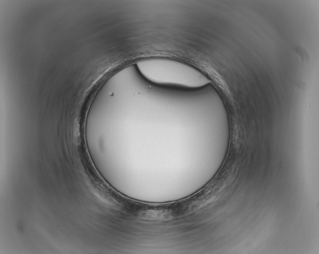 X0000111160251200906301104
