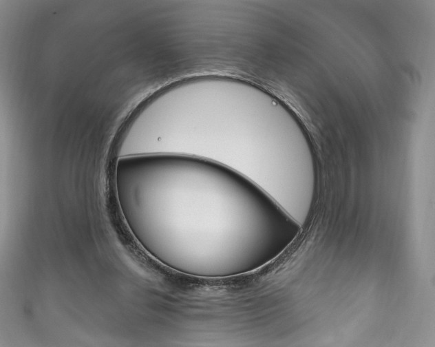 X0000111160252200906301104