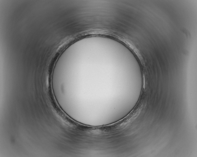 X0000111160253200906301104