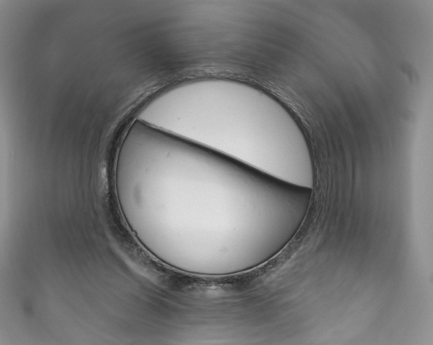 X0000111160254200906301104