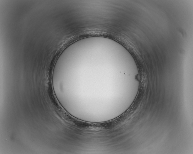 X0000111160255200906301104