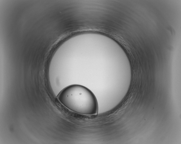 X0000111160256200906301104