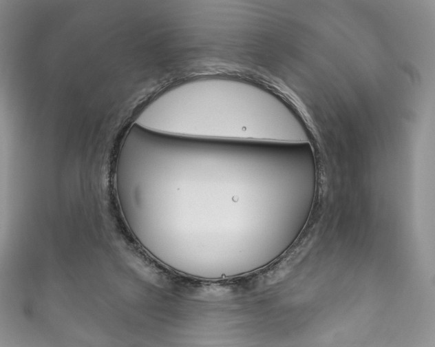 X0000111160257200906301104