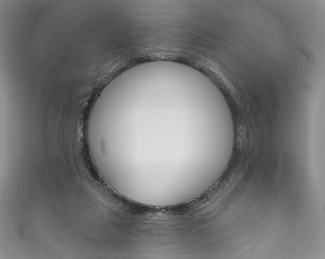X0000111160259200906301104