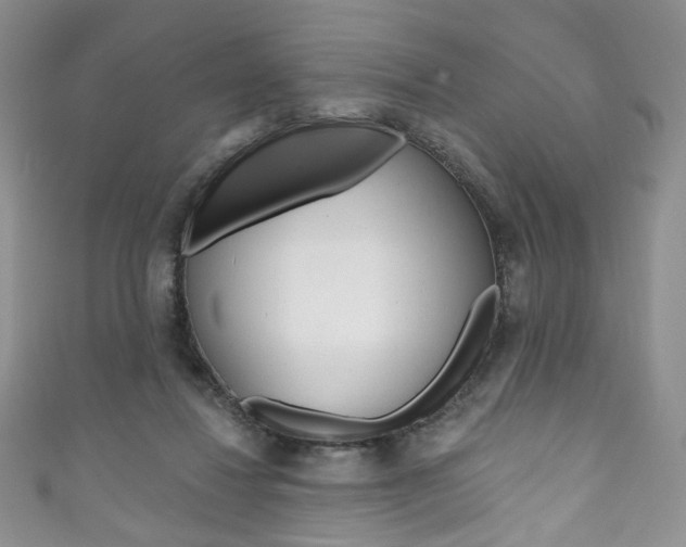 X0000111160260200906301104