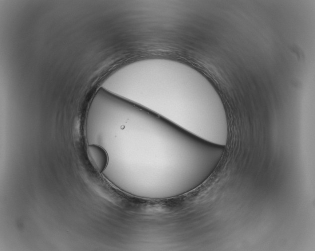 X0000111160262200906301104