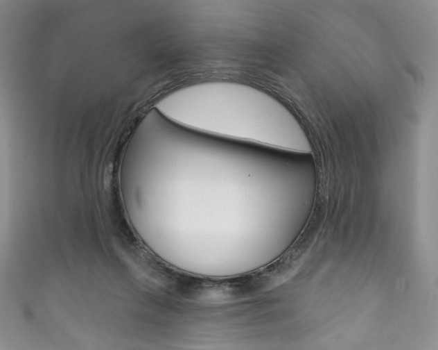 X0000111160263200906301104