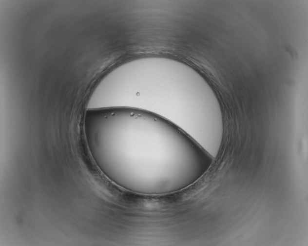X0000111160264200906301104