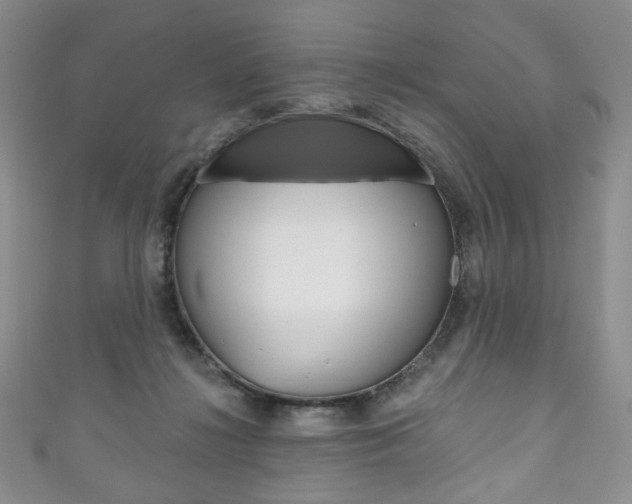 X0000111160268200906301104