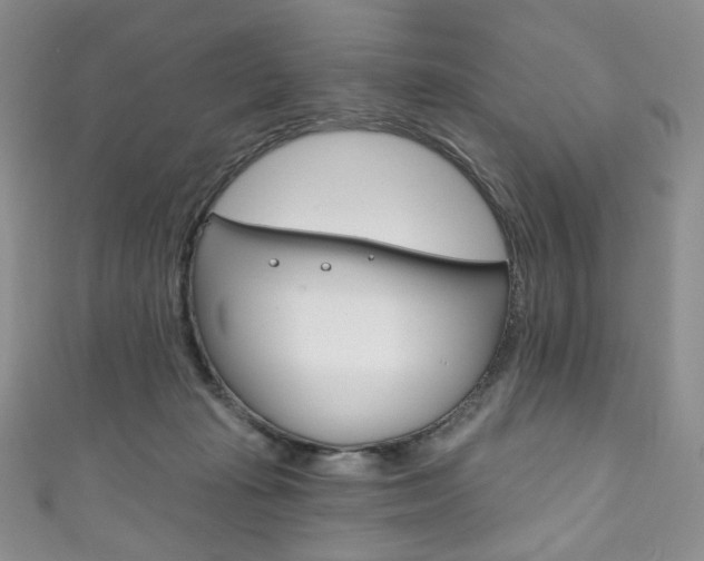 X0000111160269200906301104