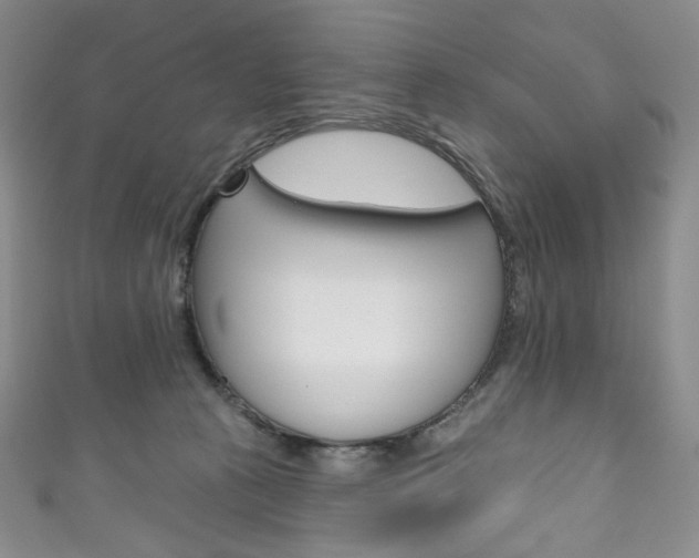 X0000111160273200906301104