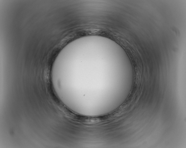 X0000111160274200906301104