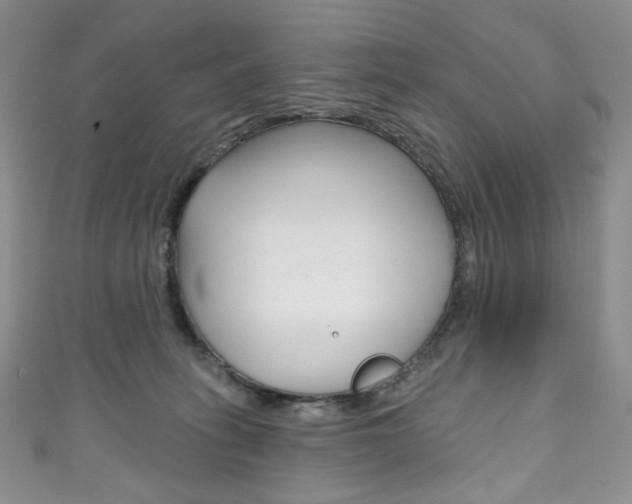 X0000111160275200906301104
