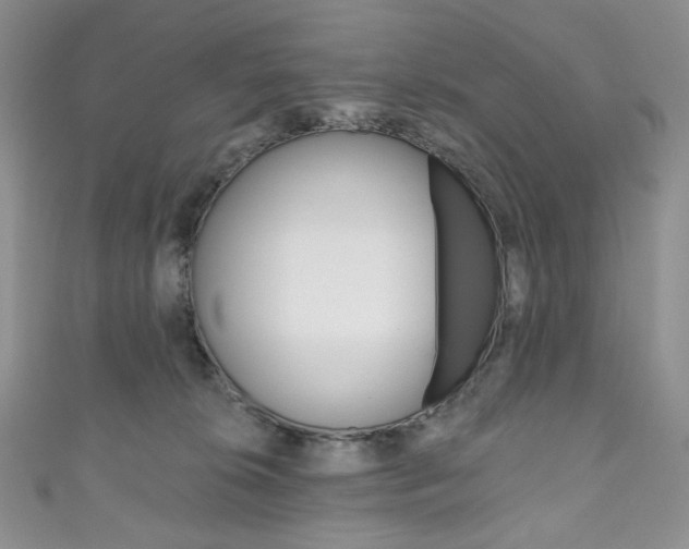 X0000111160276200906301104