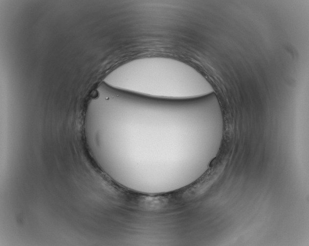 X0000111160277200906301104