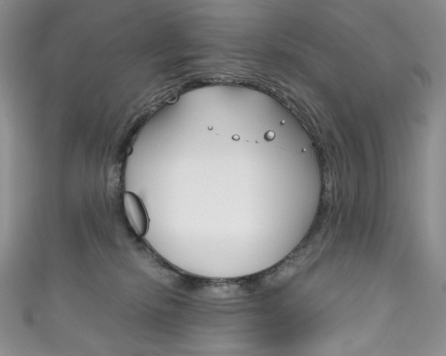 X0000111160278200906301104