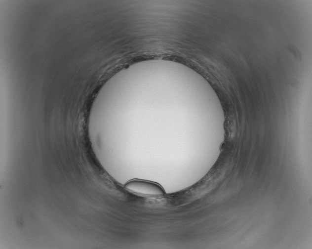 X0000111160279200906301104