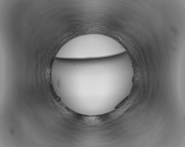 X0000111160281200906301104